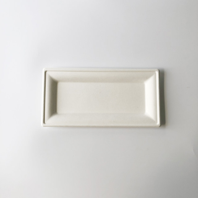 Bagasse Rectangular Serving Plate